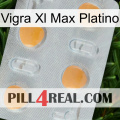 Vigra Xl Max Platinum 24